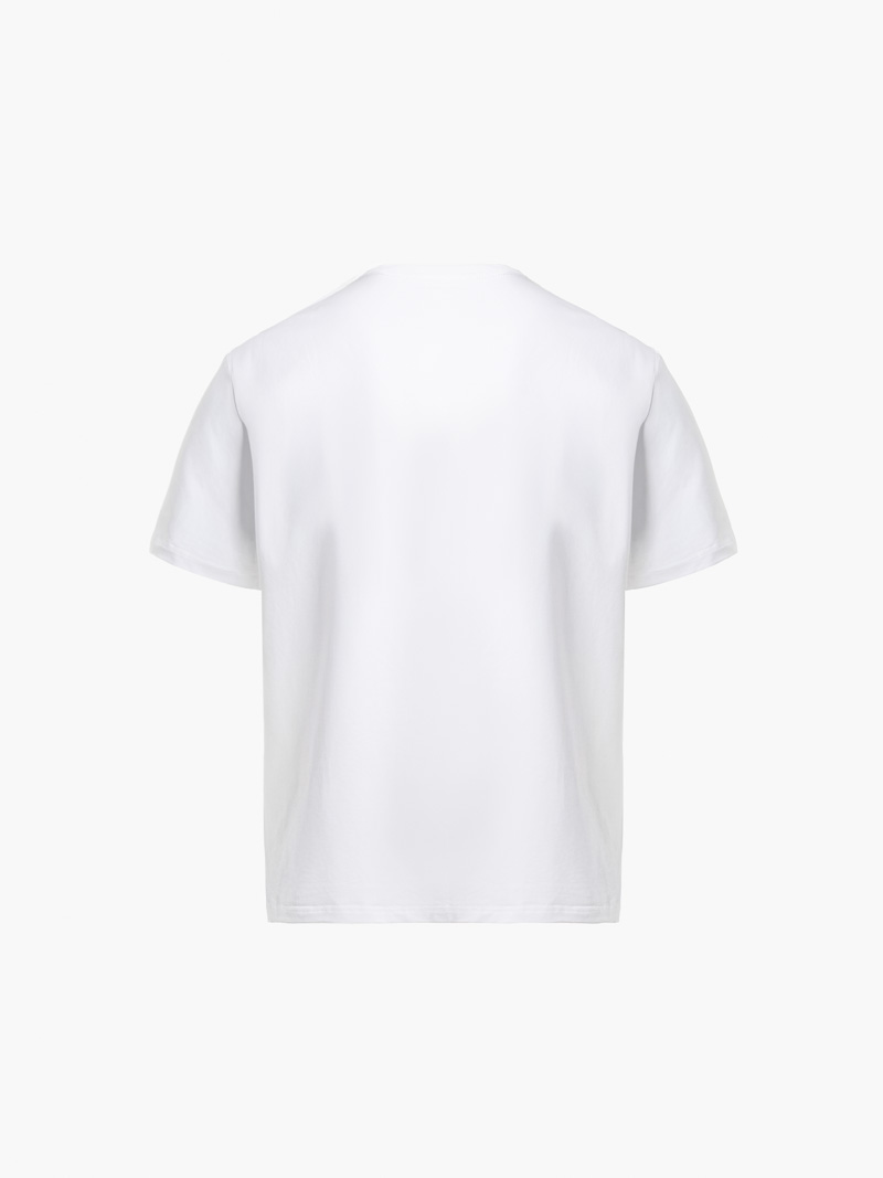 Áo Thun In Đầu Ngựa Pattern Form Regular AT183