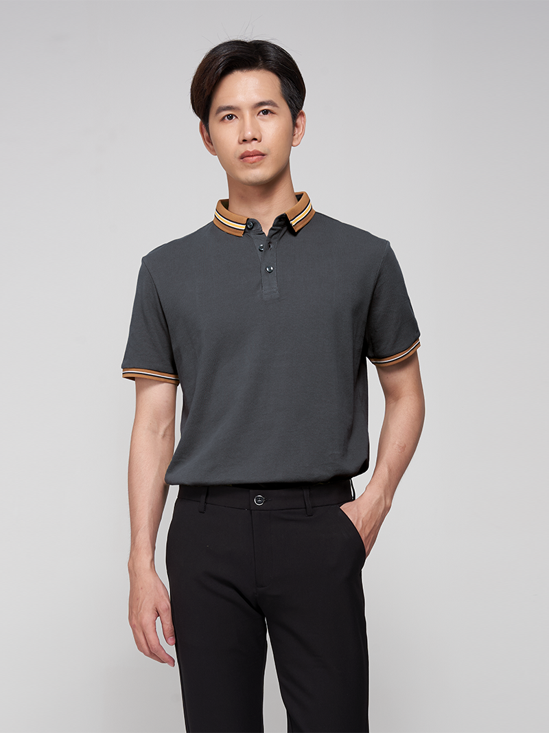 ao polo bo phoi mau po005